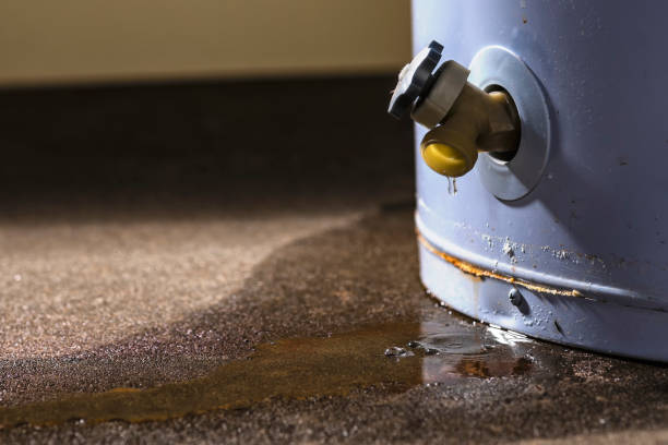 Best Flood damage cleanup  in Ronceverte, WV