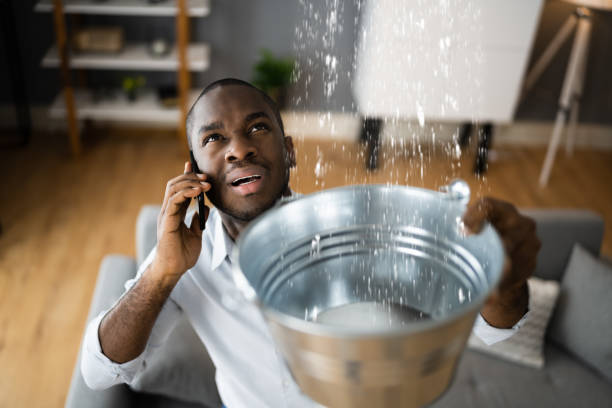 Best Commercial water damage restoration  in Ronceverte, WV