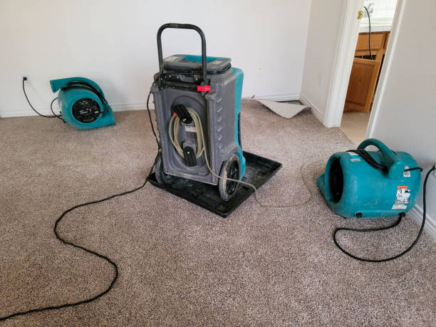 Best Flood restoration services  in Ronceverte, WV