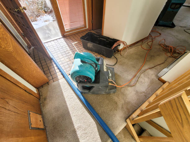 Best Commercial water damage restoration  in Ronceverte, WV