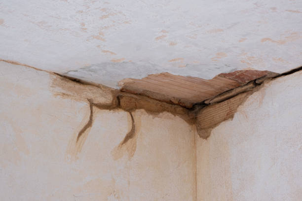 Best Flooded house restoration  in Ronceverte, WV