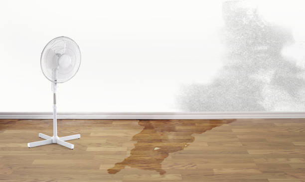 Best Water damage cleanup near me  in Ronceverte, WV