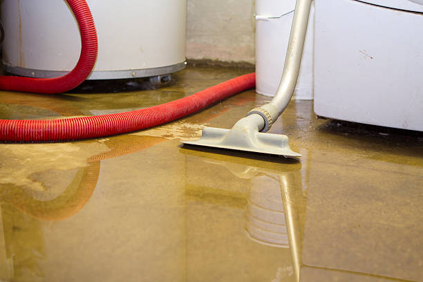 Best Water damage restoration near me  in Ronceverte, WV