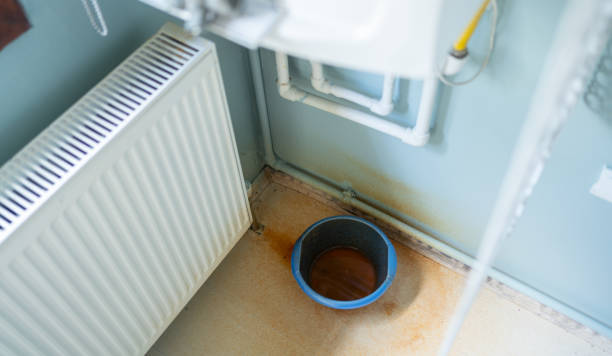 Best Water damage restoration near me  in Ronceverte, WV