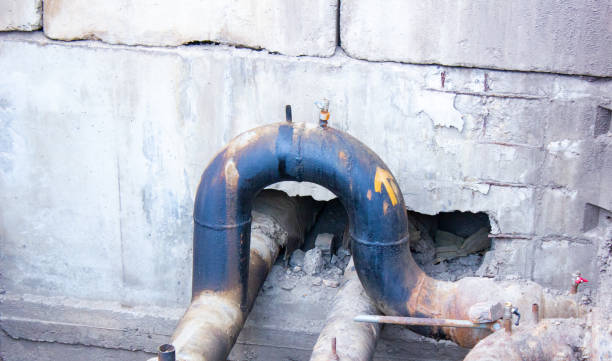 Best Sewage cleanup and water damage restoration  in Ronceverte, WV
