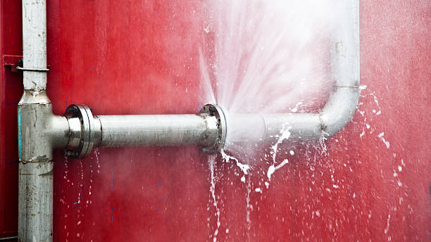 Best Basement water damage restoration  in Ronceverte, WV