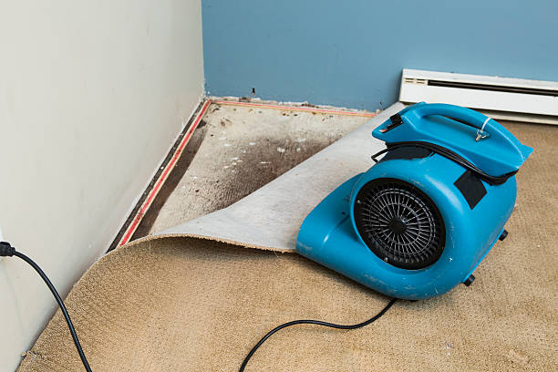 Best 24/7 water damage repair  in Ronceverte, WV
